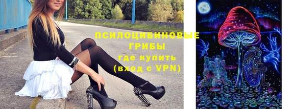 кокаин Белокуриха